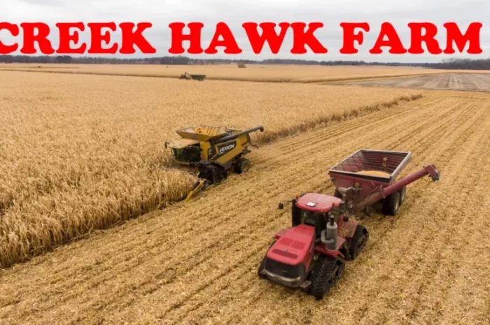 CREEKHAWK FARM V1.0.6.0 Mod for Farming Simulator 22